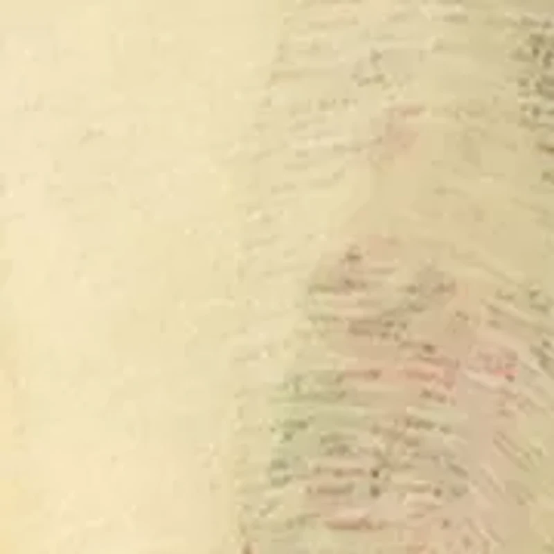 Women's Floral Lace Jacket Mini Dress