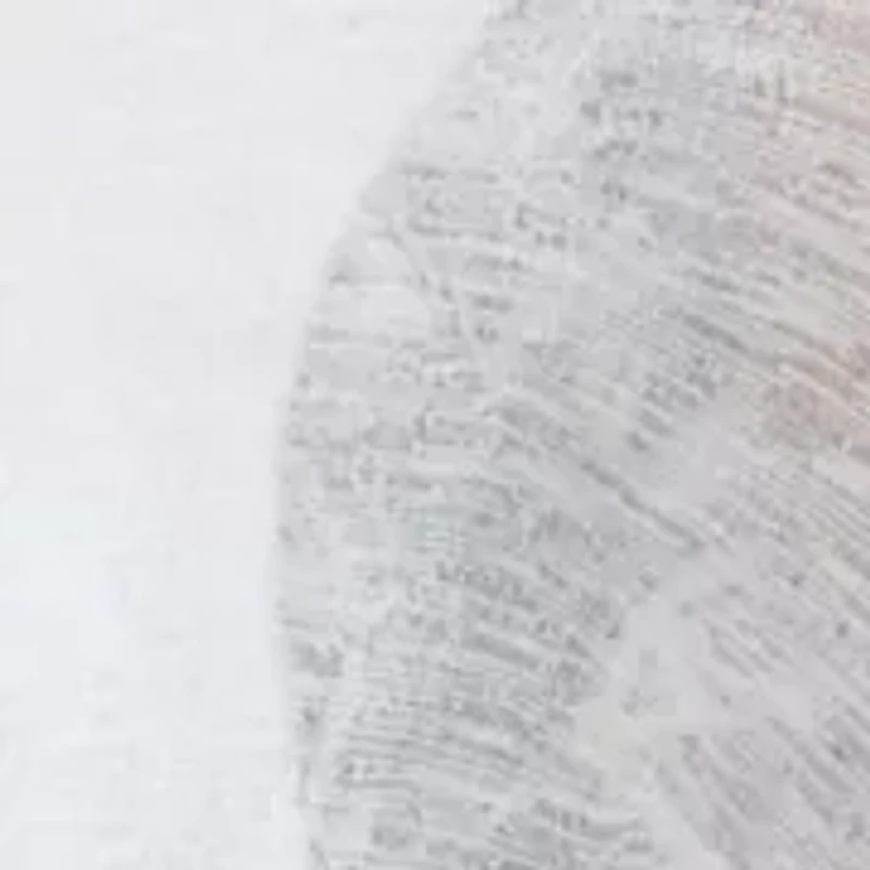 Women's Lace Jacket Dress