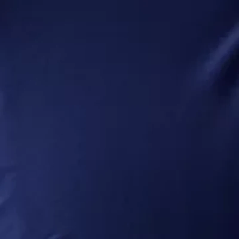 Women's Jacket Dress