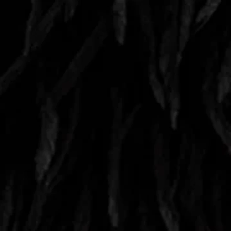 Women's Faux Fur Jacket