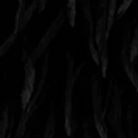 Women's Faux Fur Jacket