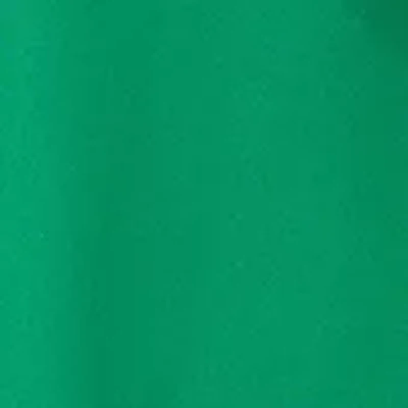 Women's Elbow Sleeve Collared Tie Waist Dress