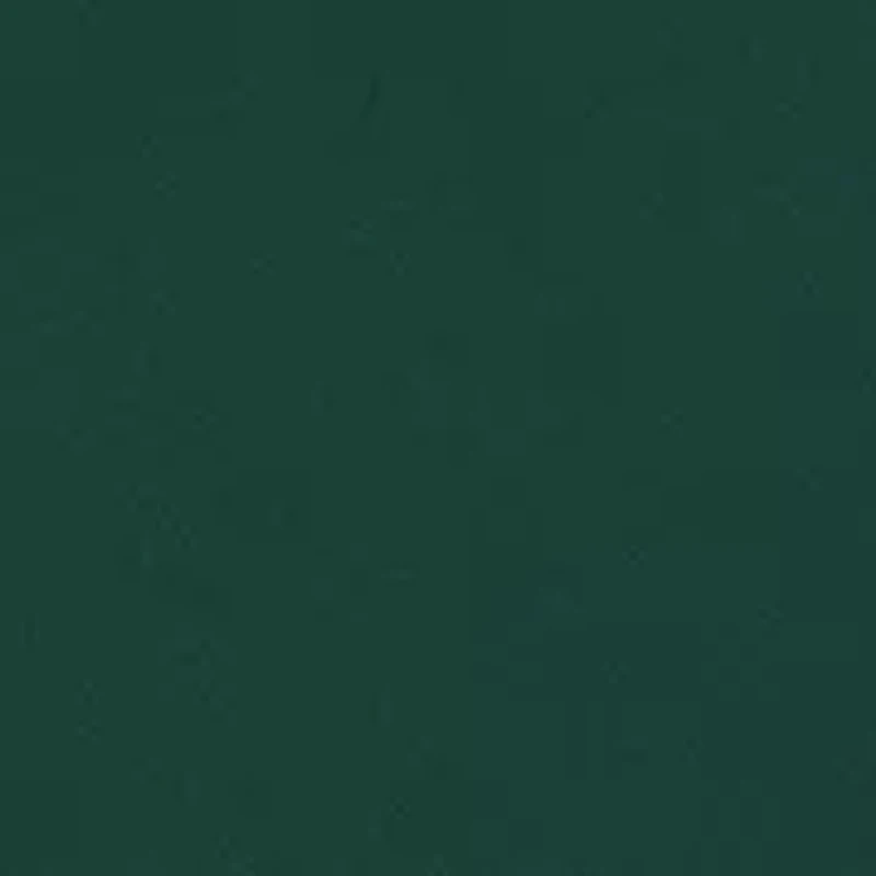 Plus Chiffon Bell Sleeve Solid Shift Dress