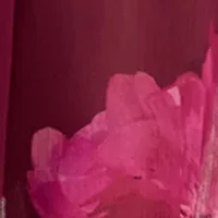 Plus Long Sleeve Floral Print Midi Dress