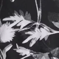 Plus Short Sleeve Printed Midi Dress