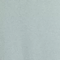 Belted Georgette Dress