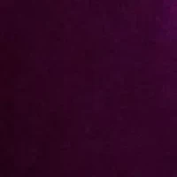 Ruffle Trim Velvet Cocktail Dress