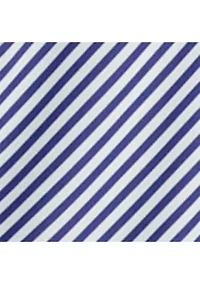 Women's Striped Pleated Taffeta Sleeveless Gown