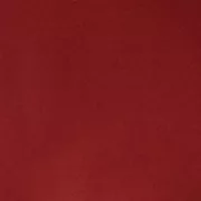 Women's Long Sleeve Studded Pocket Shirt Dress