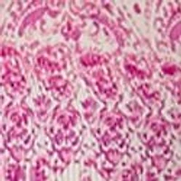 Plus Long Sleeve Scoop Keyhole Paisley Dress