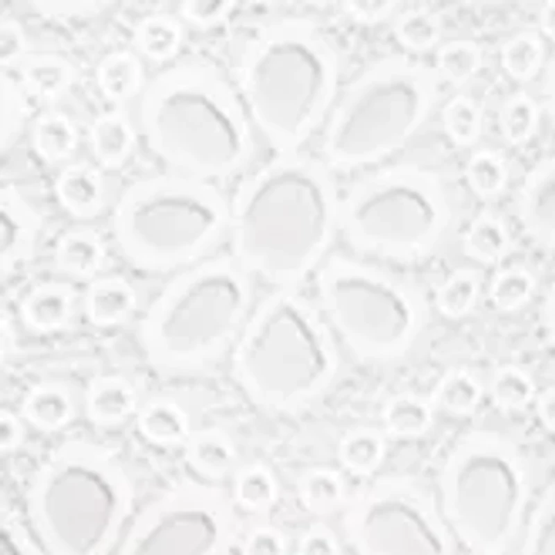 Plus Sleeveless Daisy Embroidered Mock Neck A-Line Dress