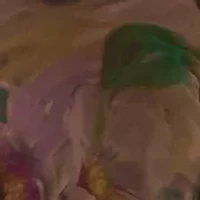 Plus Long Sleeve Mesh Tie Front Midi Dress