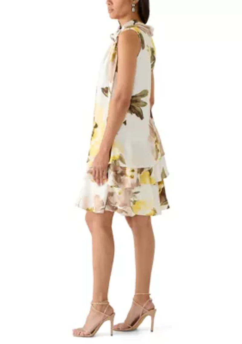 Women's Sleeveless Printed Chiffon A-Line Dress