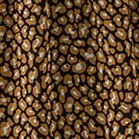 Women's V-Neck Animal Print Chiffon Maxi Dress