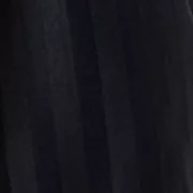 Women's Long Sleeve Bow Mock Neck Organza Dress