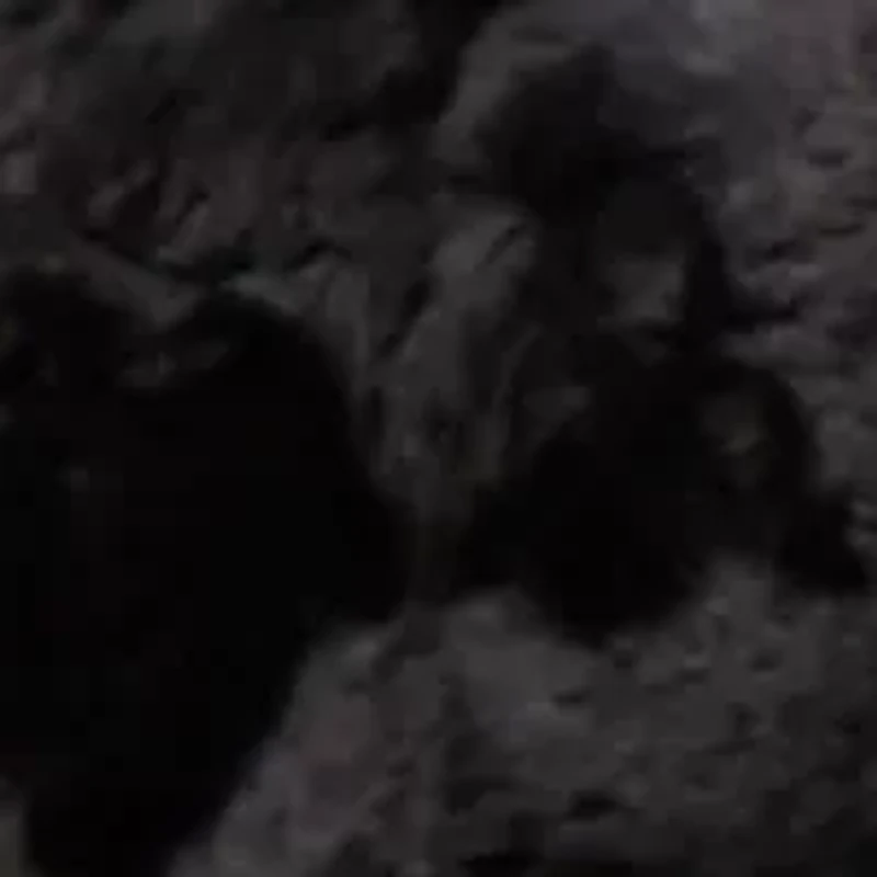 Women's Pull Through Fur Wrap