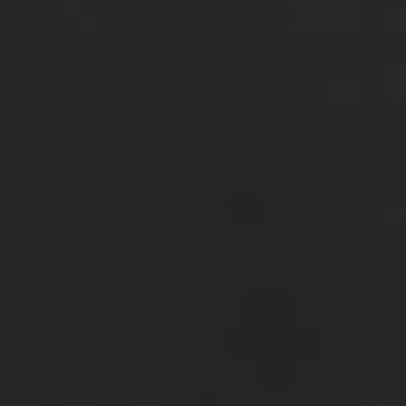 Women's Collared Crepe Jumpsuit