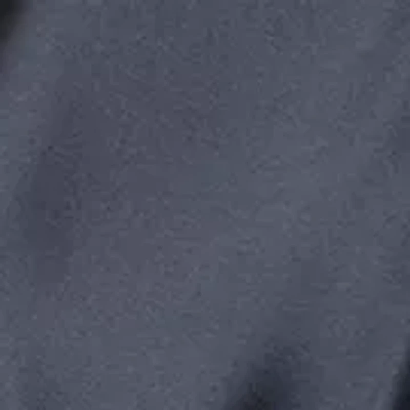 Women's Long Sleeve Crew Neck Satin A-Line Dress