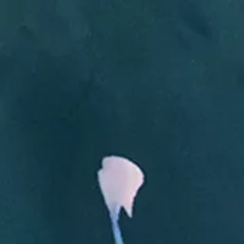 Women's Sleeveless Floral Gown