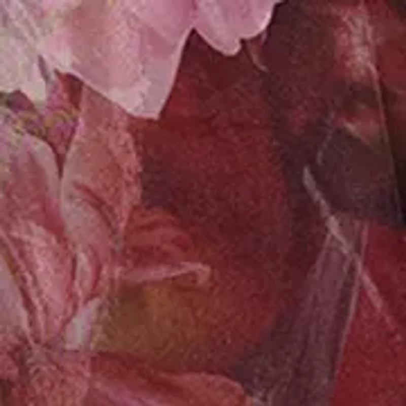 Women's Floral Printed Organza Dress