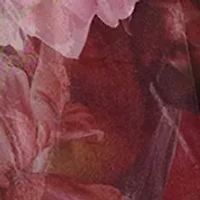 Women's Floral Printed Organza Dress