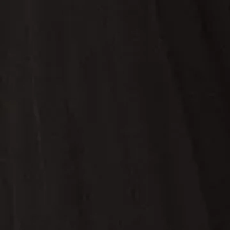 Women's Sleeveless Velvet Floral Burnout Dress