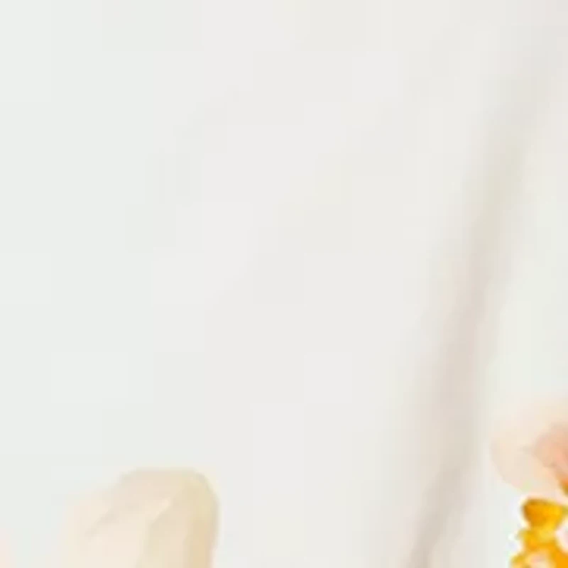 Women's Sleeveless Printed A-Line Dress