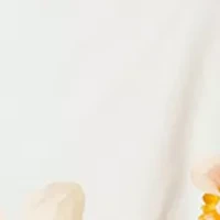 Women's Sleeveless Printed A-Line Dress