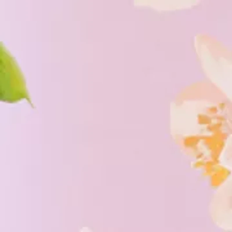 Women's Sleeveless Floral Tie Waist Dress