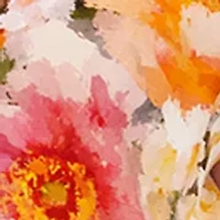 Women's Sleeveless Printed Shirtdress