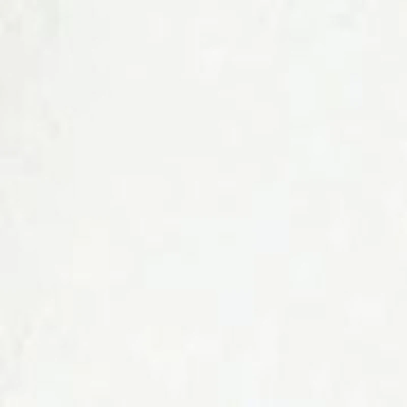 PETITE BONDED LACE 1 BTTN SHAWL COLLAR JACKET