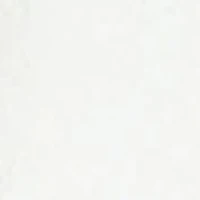 PETITE BONDED LACE 1 BTTN SHAWL COLLAR JACKET