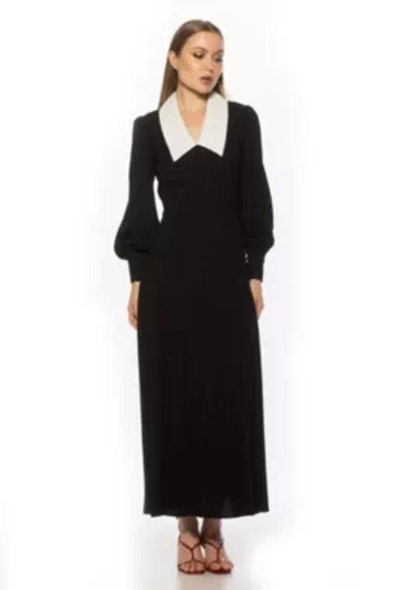 Kate Collared Button Down Dress