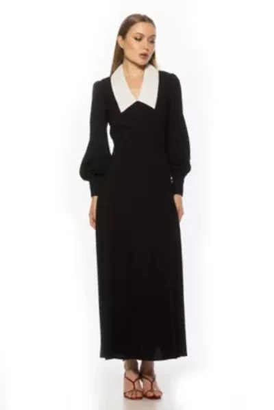 Kate Collared Button Down Dress