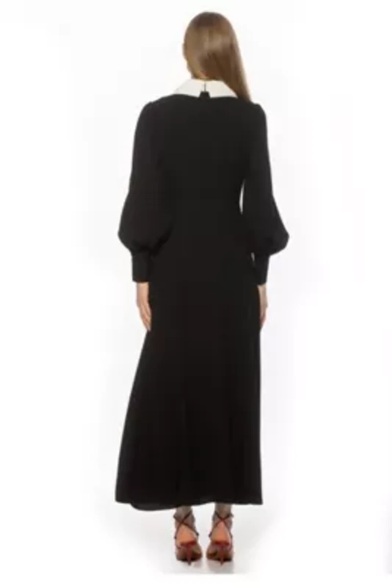 Kate Collared Button Down Dress