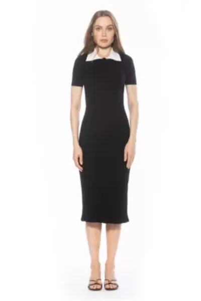 Lanie Collared Knit Midi Dress