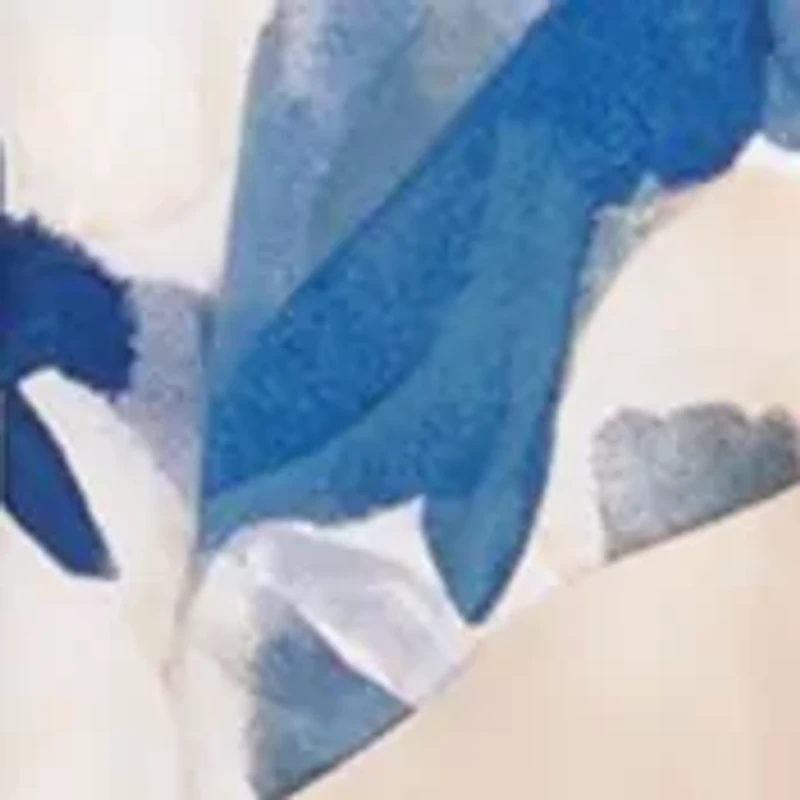 Women's Sleeveless V-Neck Floral Print Tie Waist Ruffle Trim Fit and Flare Dress