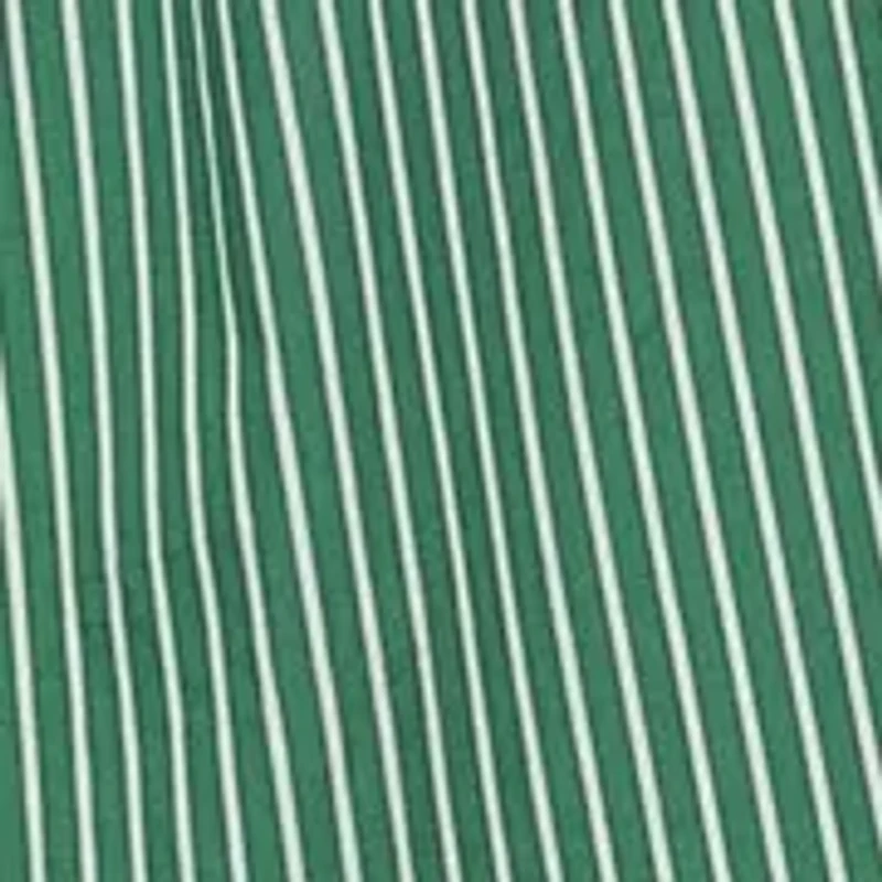 Women's Collared Stripe Printed Shirtdress