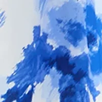 Women's 3/4 Sleeve Floral Midi Dress