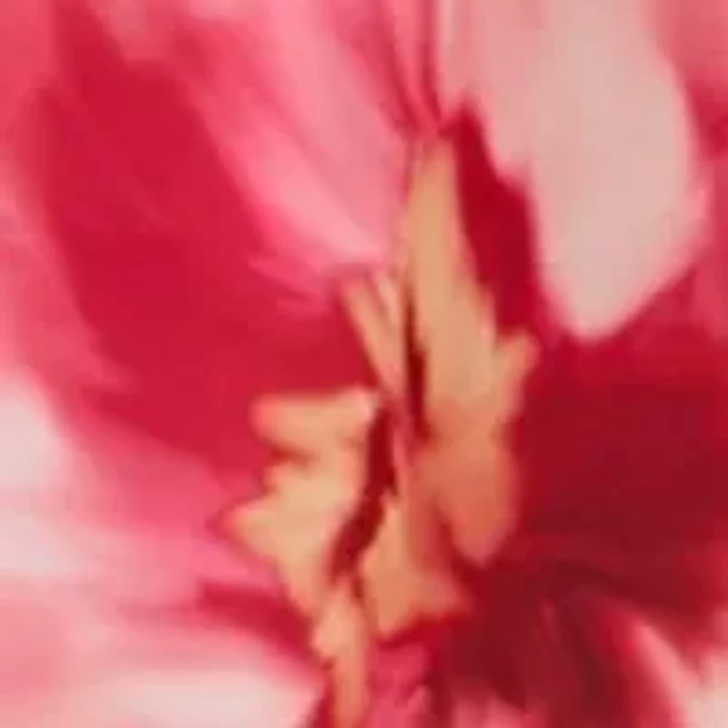 Plus Floral Printed Belted A-Line Dress