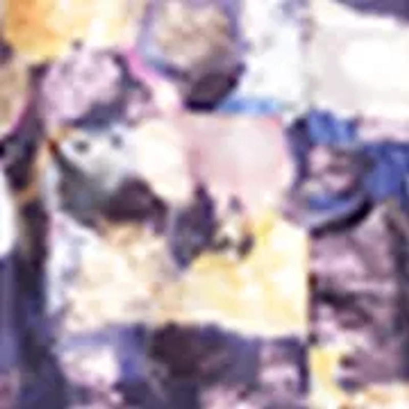 Midi Shirt Dress with Removable Sash