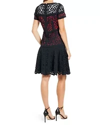 Ombre Laser Cut Fit and Flare Dress