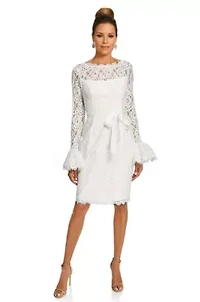 Ruffle Sleeve Lace Dress