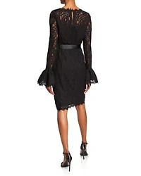 Ruffle Sleeve Lace Dress