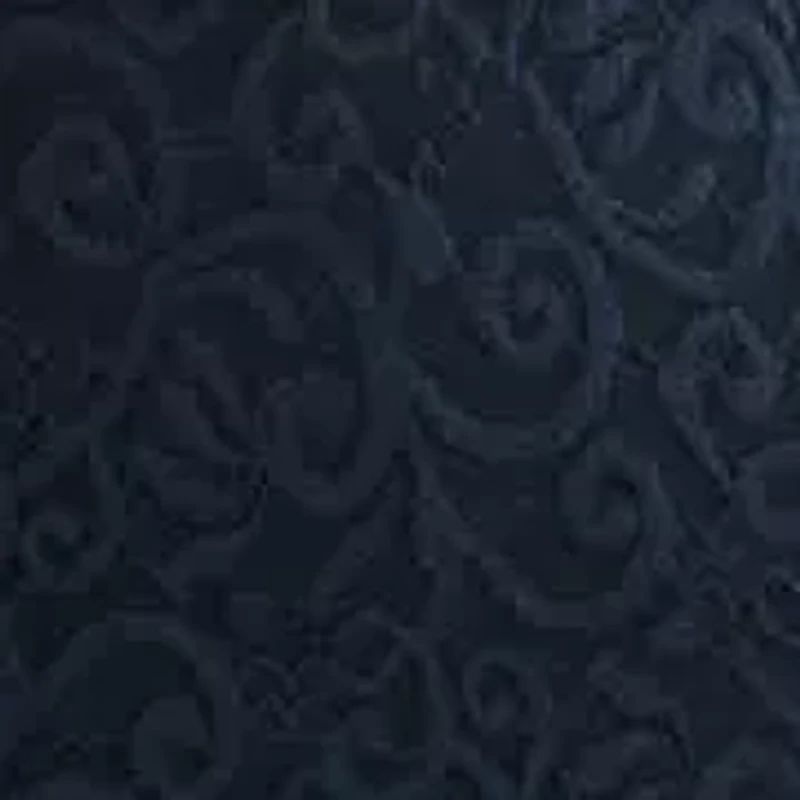 Plus Fit and Flare Lace Dress