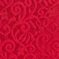 Square neck lace dress