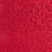 Flutter Square Neck Lace Dress