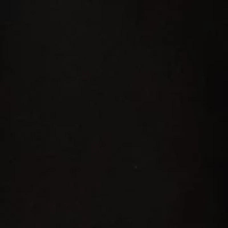 Two Button Jacket with Contrast Piping