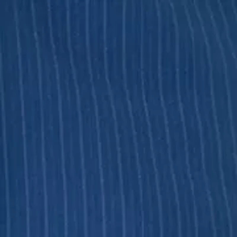 Pinstripe Shawl Collar Jacket with Wide Leg Pant