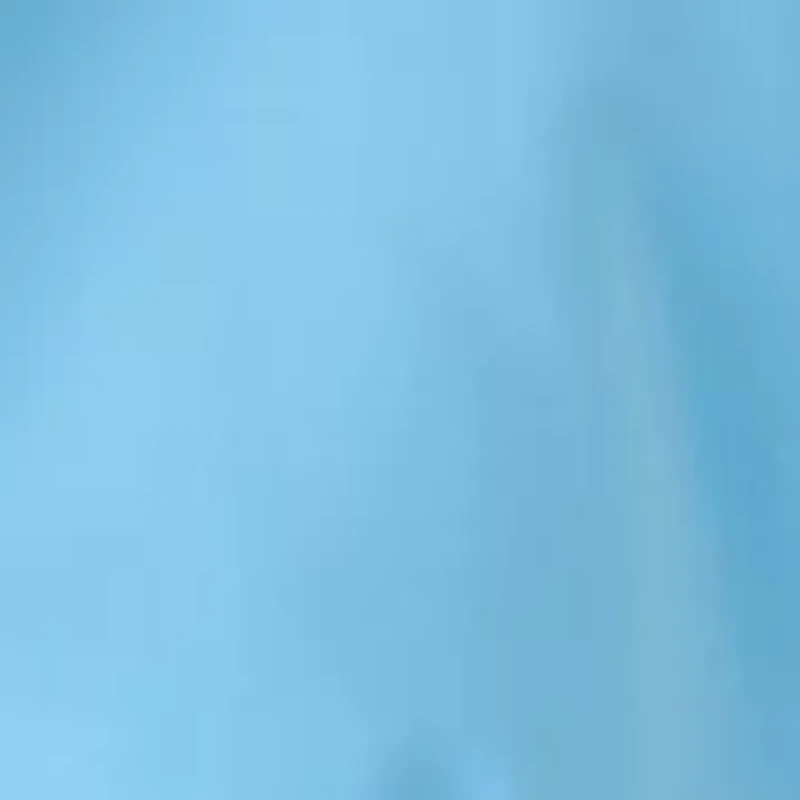 Cutout Collar Kissing Front Jacket and Sheath Dress